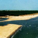 Scorcio della spiaggia alla foce del fiume Bevano